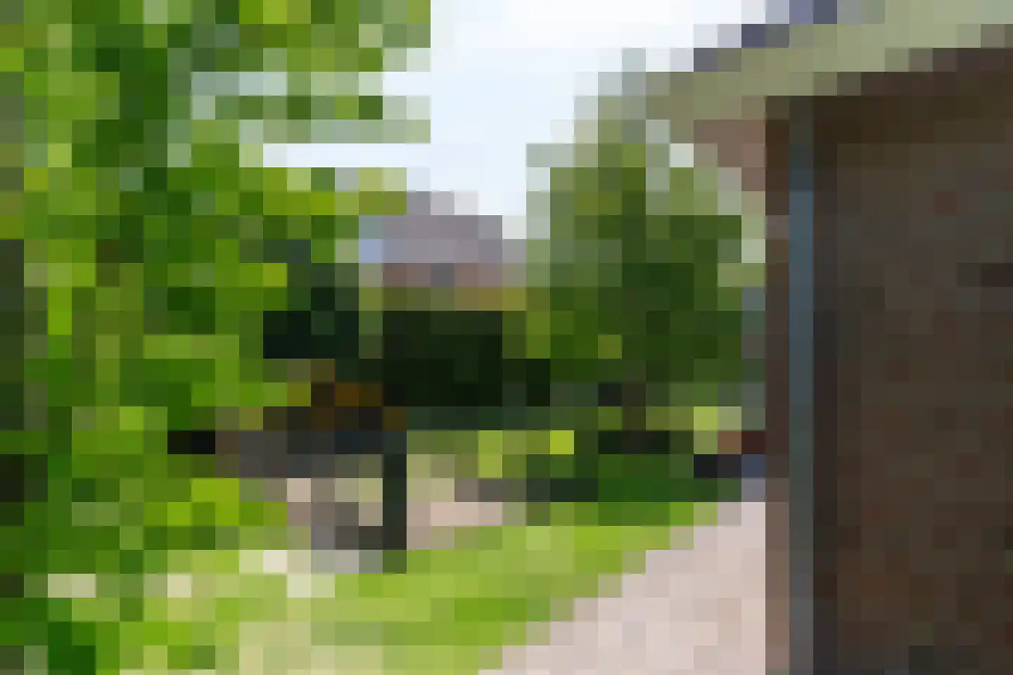 Van Koppenweg 30 Naaldwijk thumbnail 54
