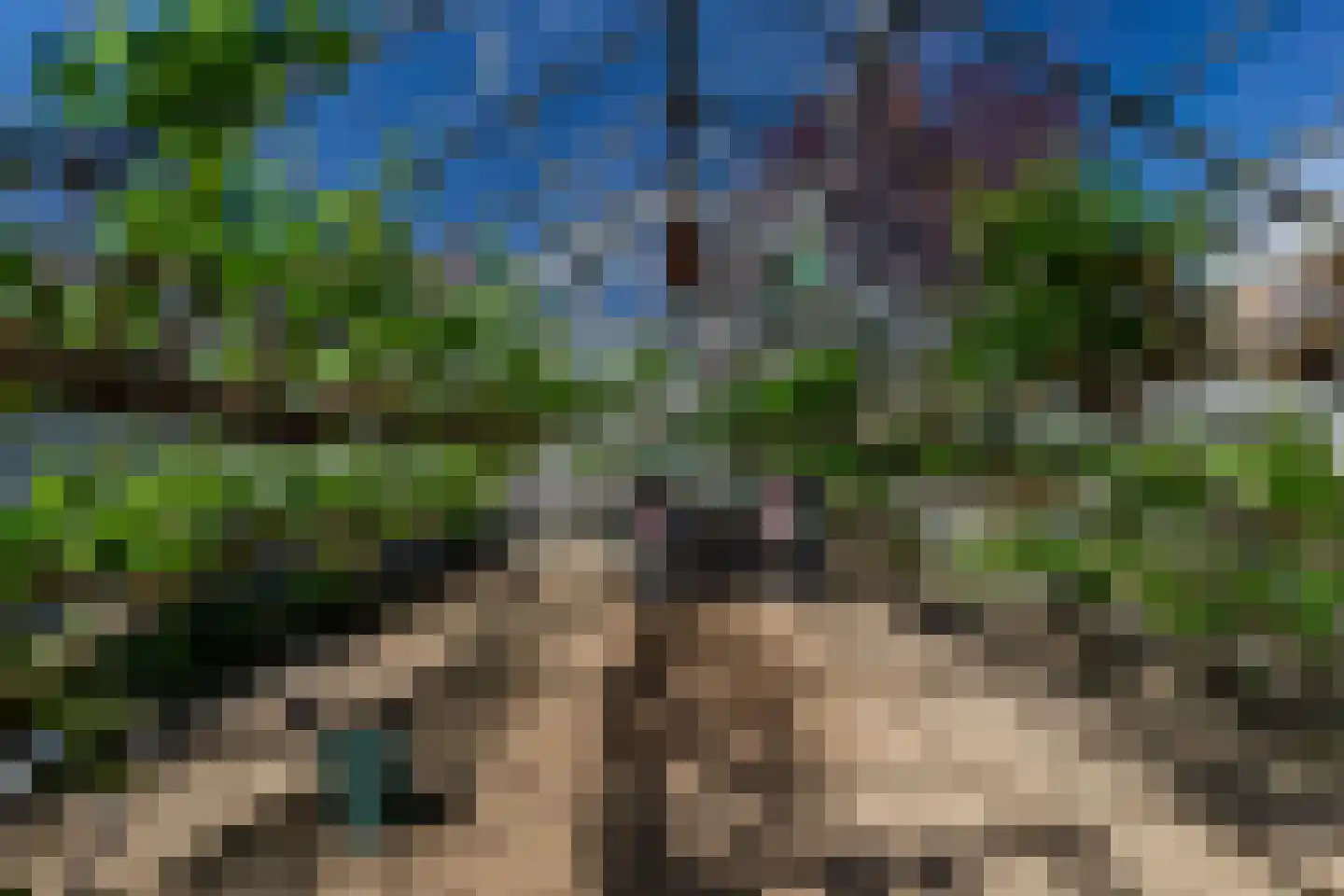 Van Koppenweg 30 Naaldwijk thumbnail 57
