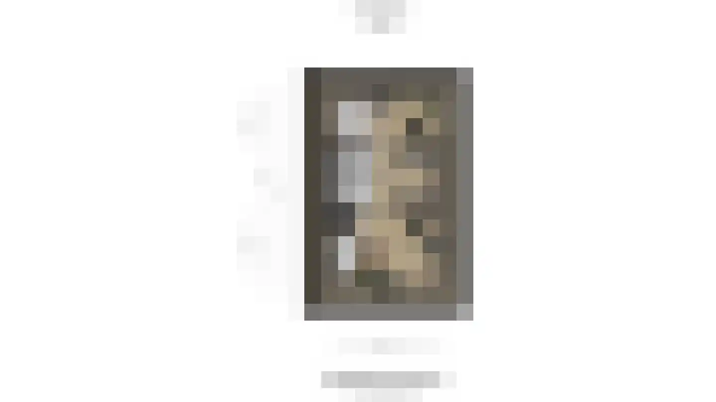 Van Koppenweg 30 Naaldwijk thumbnail 59