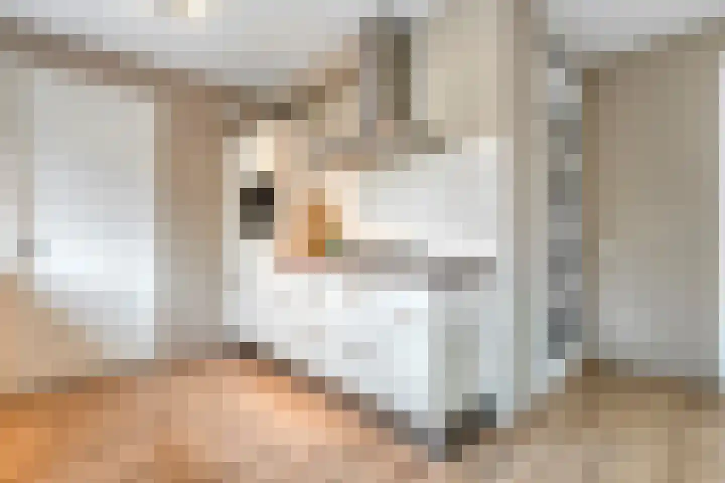 Van Kouwenborchstraat 11 Hardenberg thumbnail 18