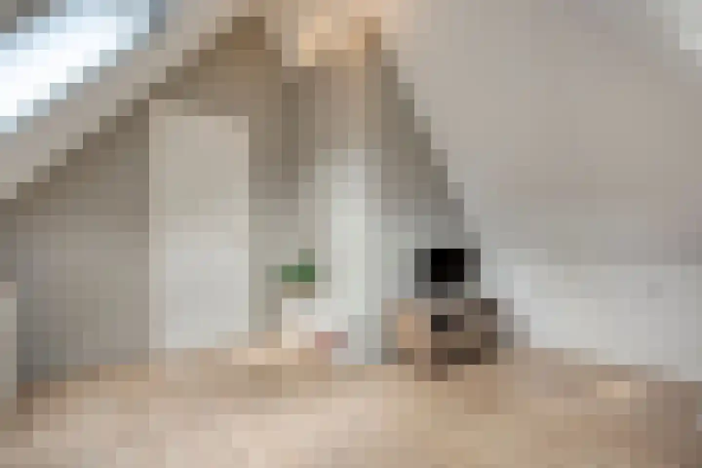 Van Kouwenborchstraat 11 Hardenberg thumbnail 39
