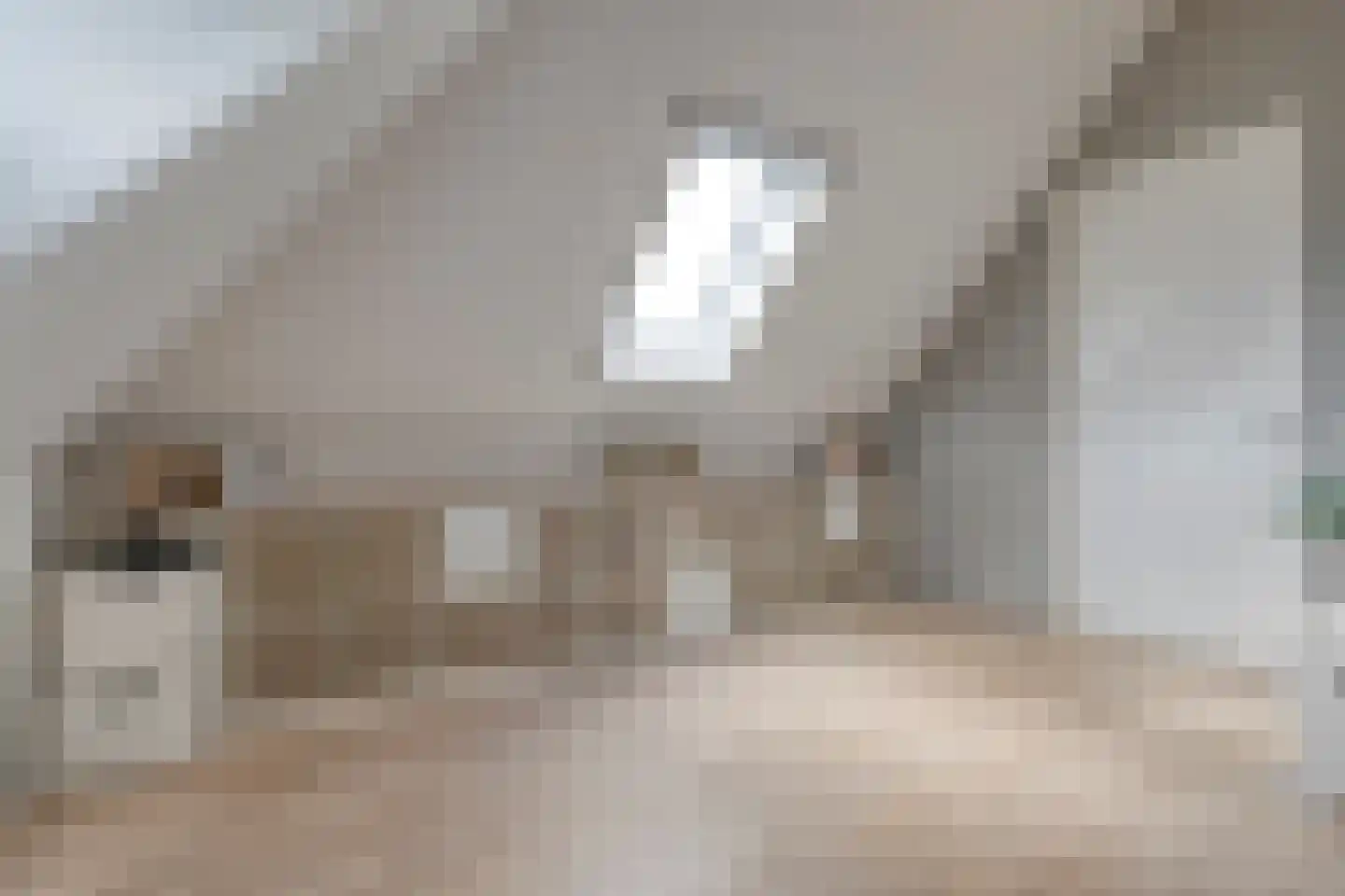 Van Kouwenborchstraat 11 Hardenberg thumbnail 41