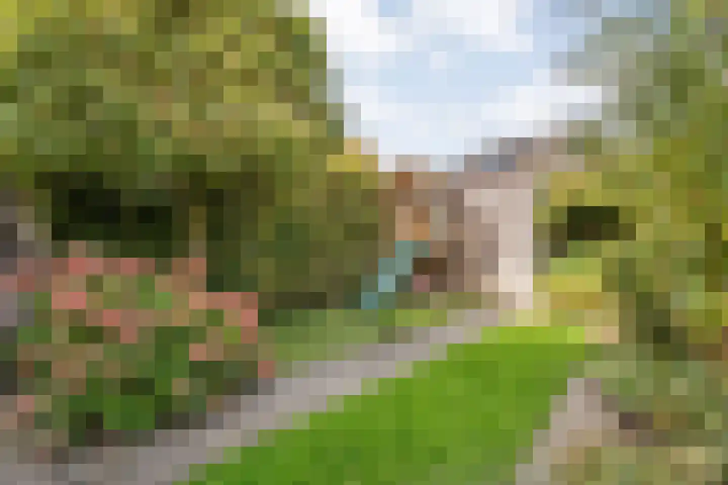 Van Kouwenborchstraat 11 Hardenberg thumbnail 51