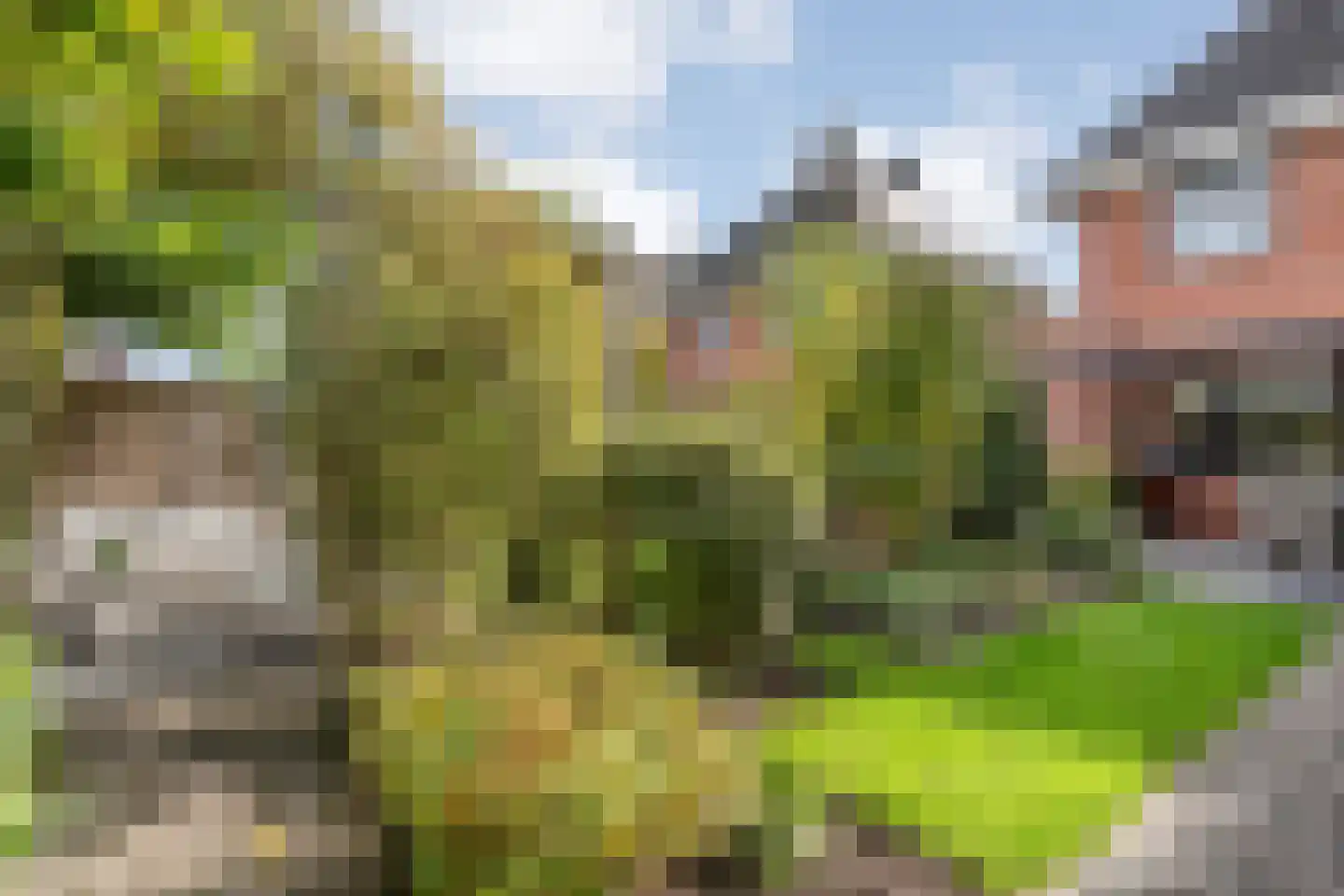 Van Kouwenborchstraat 11 Hardenberg thumbnail 52