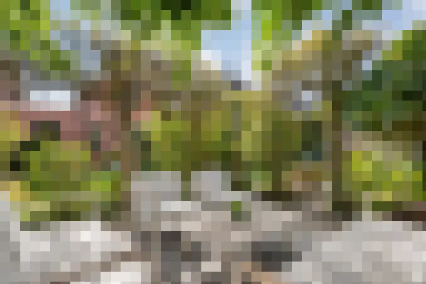 Van Kouwenborchstraat 11 Hardenberg thumbnail 53