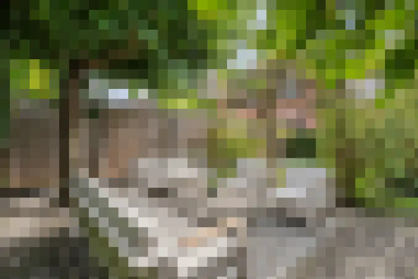 Van Kouwenborchstraat 11 Hardenberg thumbnail 54