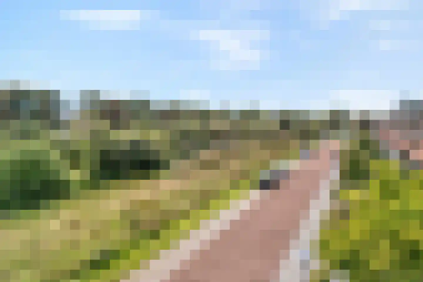 Van Kouwenborchstraat 11 Hardenberg thumbnail 57