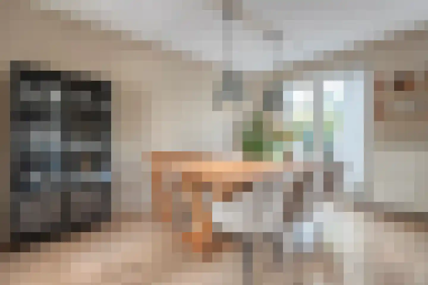 Van Kouwenborchstraat 11 Hardenberg thumbnail 9