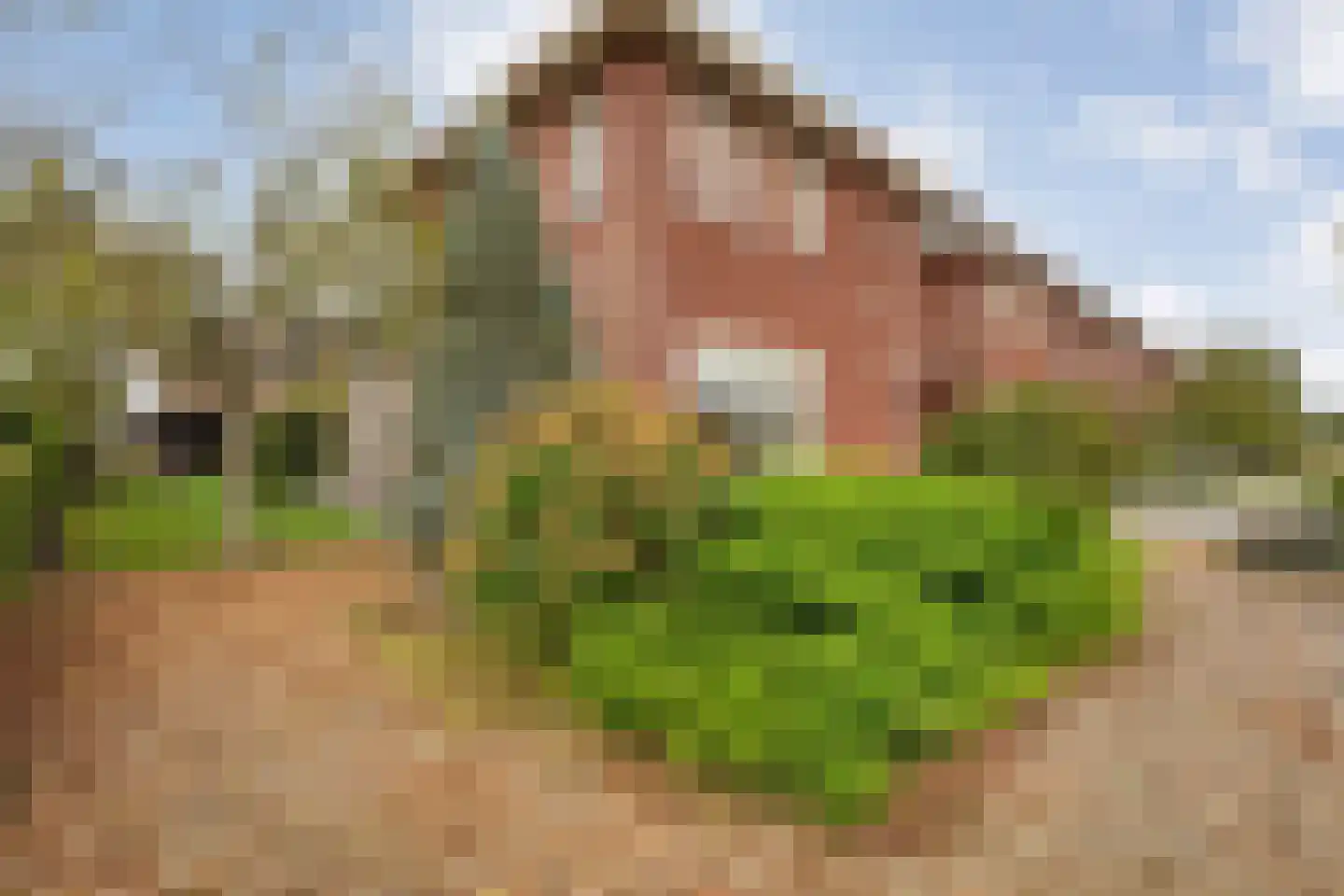 Van Kouwenborchstraat 23 Hardenberg thumbnail 9