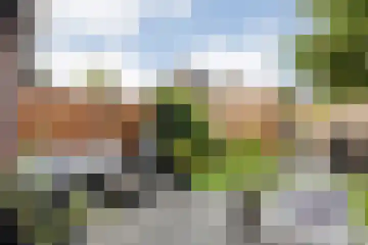 Van Kouwenborchstraat 45 Hardenberg thumbnail 30