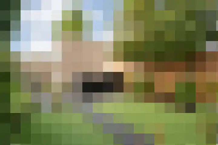 Van Kouwenborchstraat 45 Hardenberg thumbnail 32