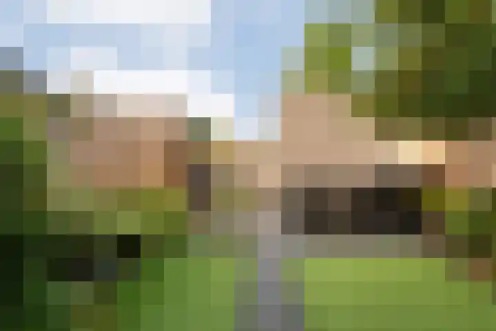 Van Kouwenborchstraat 45 Hardenberg thumbnail 33