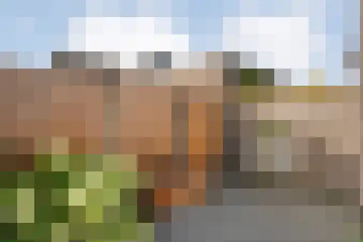 Van Kouwenborchstraat 45 Hardenberg thumbnail 35