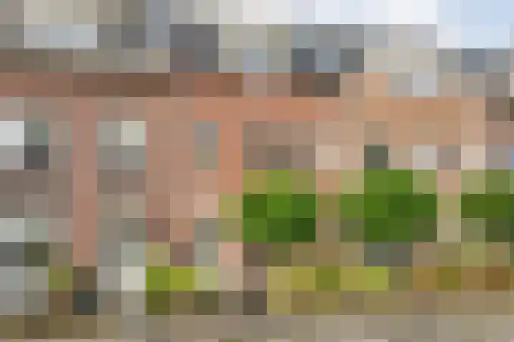 Van Kouwenborchstraat 45 Hardenberg thumbnail 37