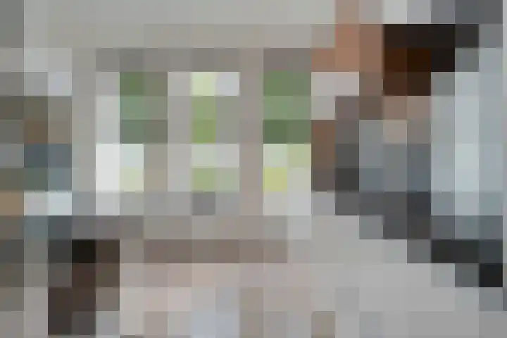 Van Kouwenborchstraat 45 Hardenberg thumbnail 8