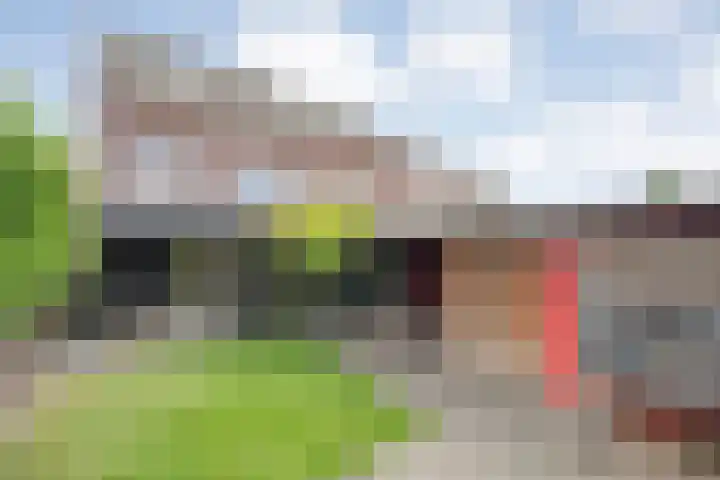 Van Kouwenborchstraat 63 Hardenberg thumbnail 44