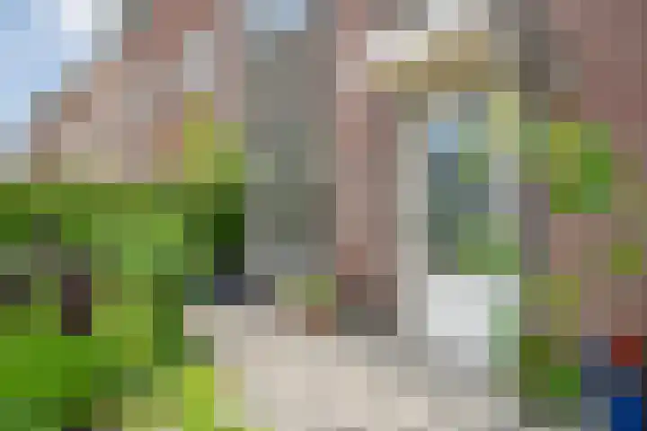Van Kouwenborchstraat 63 Hardenberg thumbnail 6