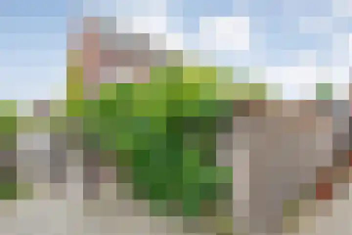 Van Kouwenborchstraat 63 Hardenberg thumbnail 8