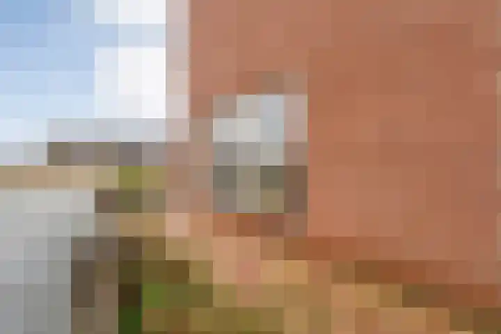 Van Kouwenborchstraat 77 Hardenberg thumbnail 54