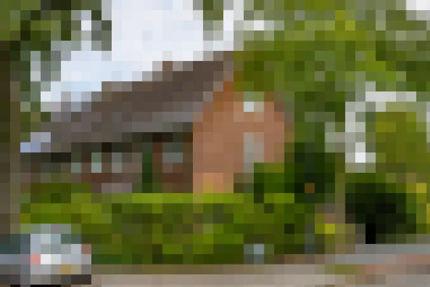 Van Kretschmar van Veenlaan 100 in Hilversum