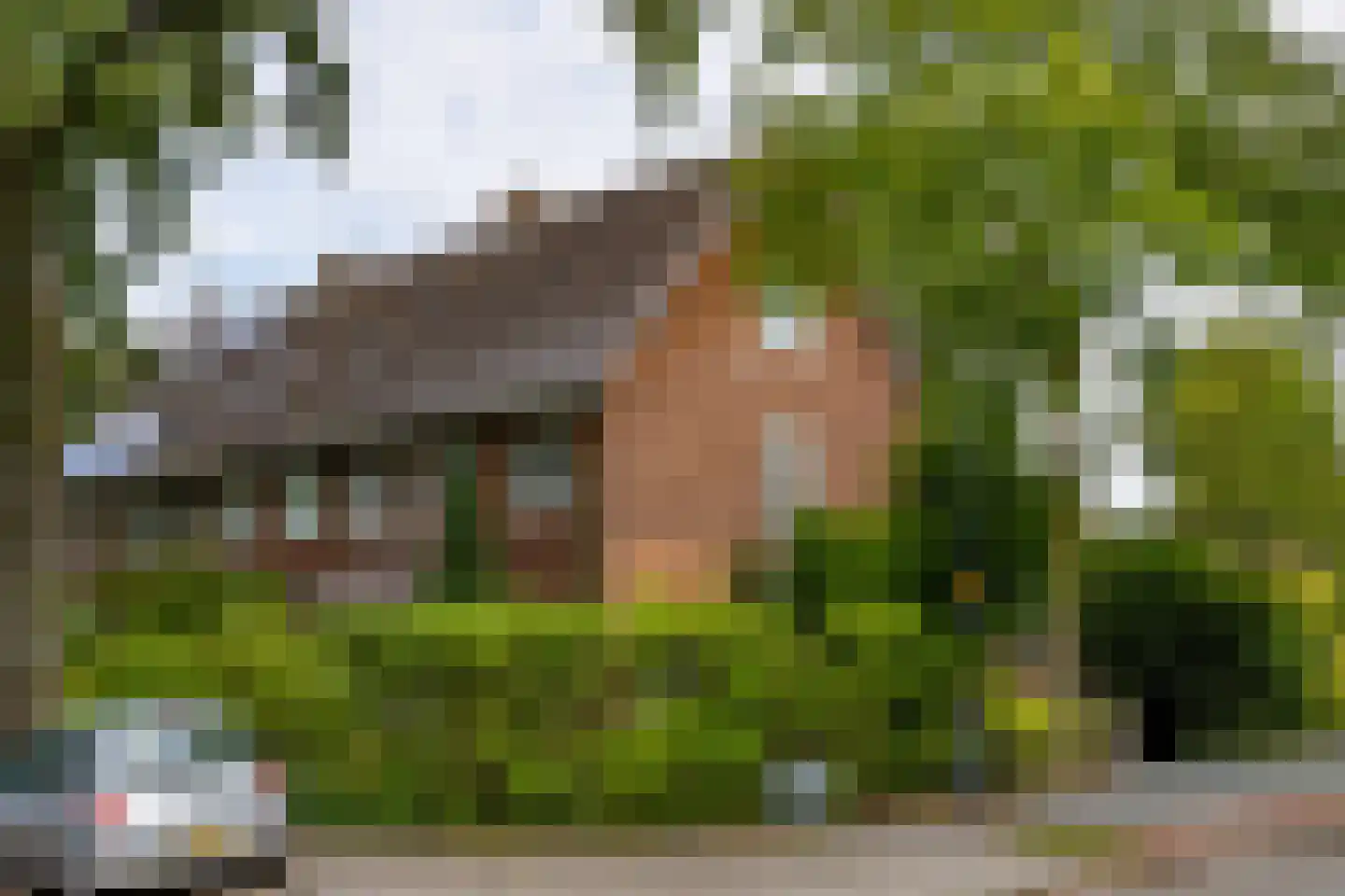Van Kretschmar van Veenlaan 100 in Hilversum