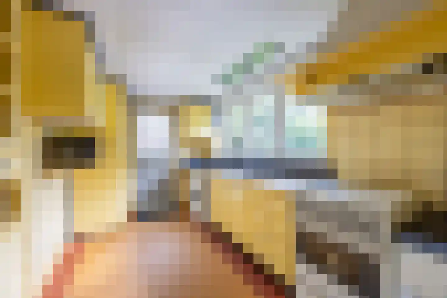 Van Kretschmar van Veenlaan 100 Hilversum thumbnail 19