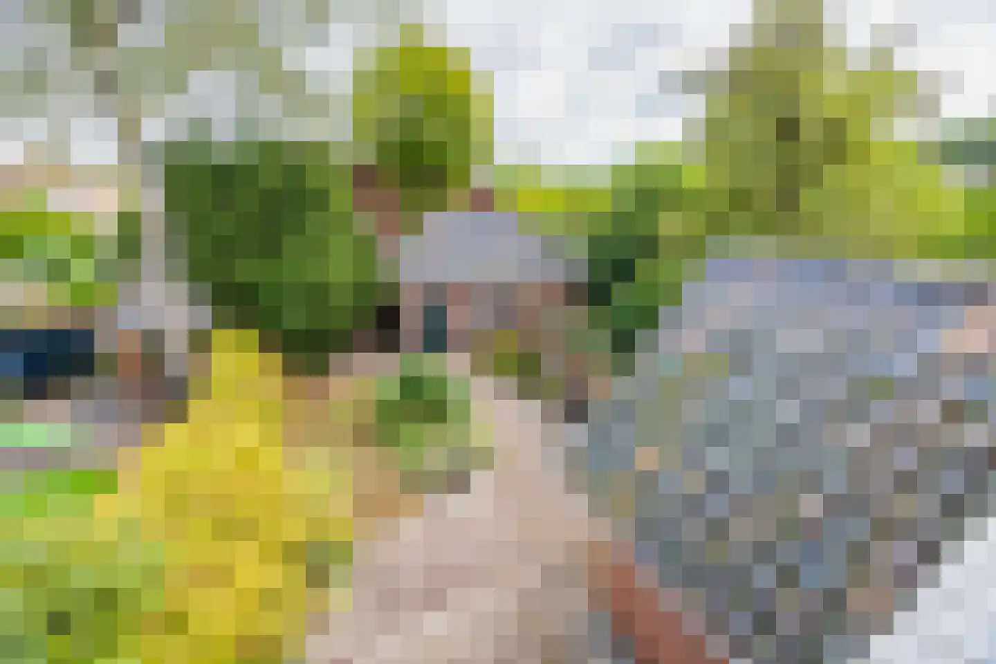 Van Kretschmar van Veenlaan 100 Hilversum thumbnail 25