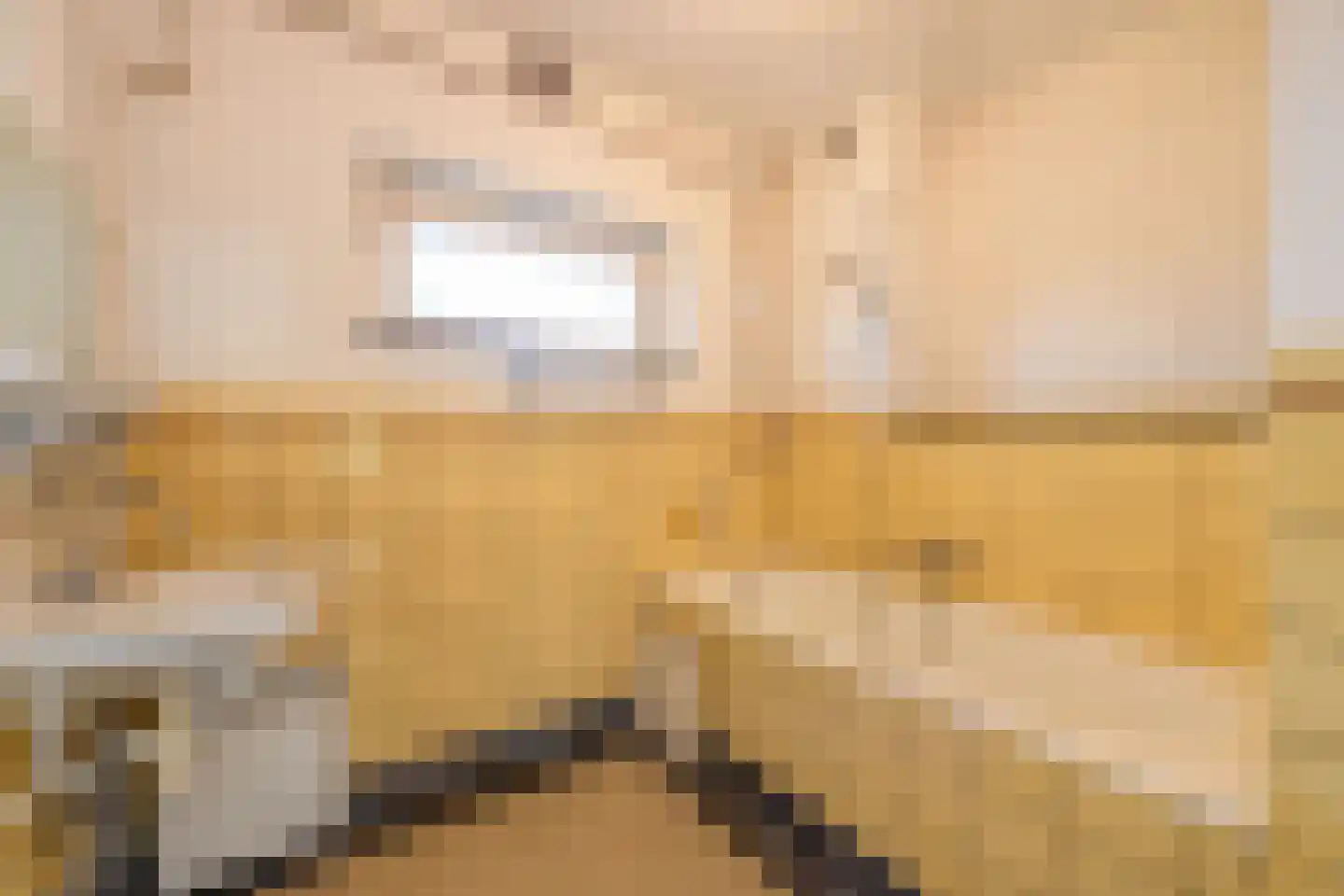 Van Kretschmar van Veenlaan 100 Hilversum thumbnail 30