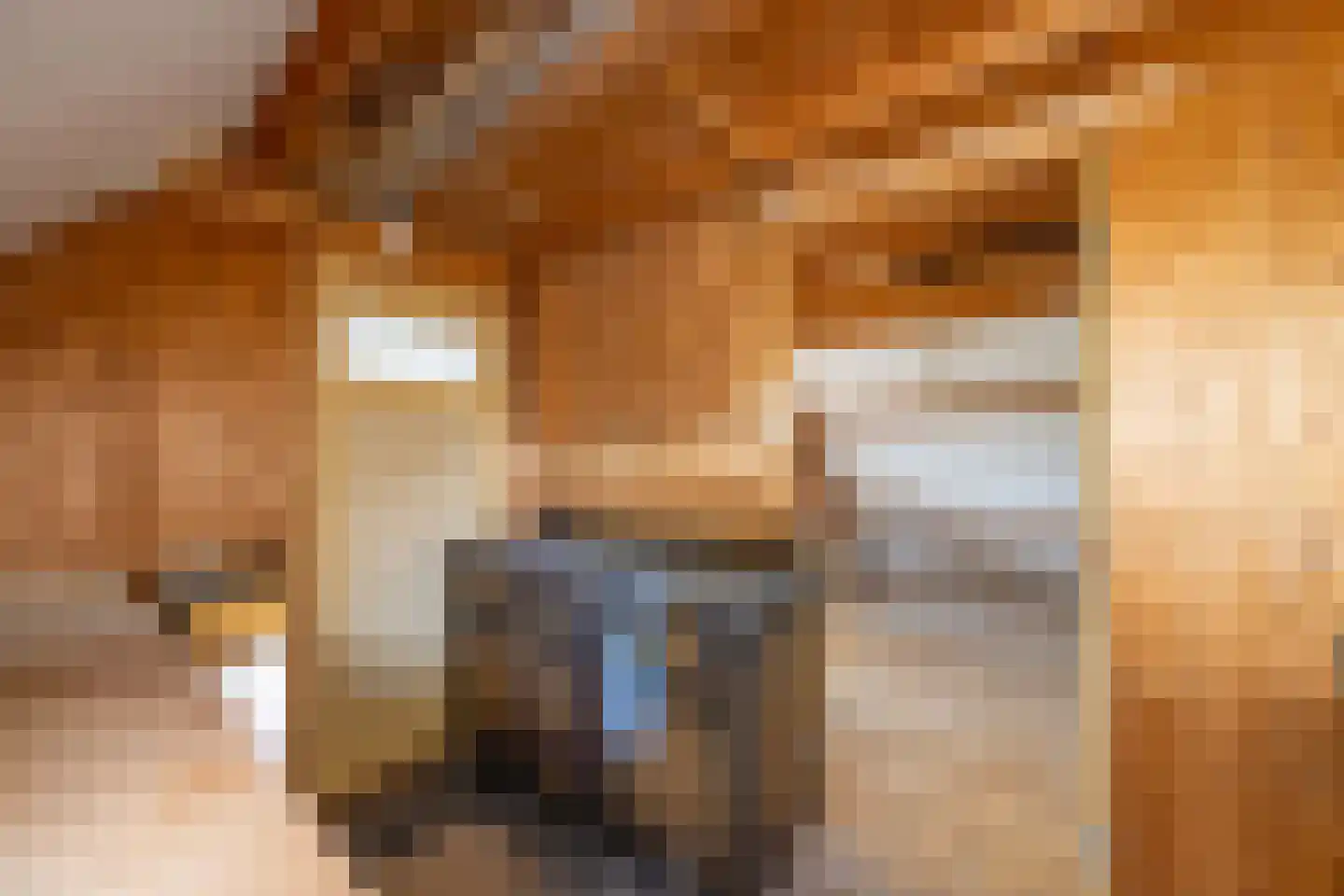 Van Kretschmar van Veenlaan 100 Hilversum thumbnail 33