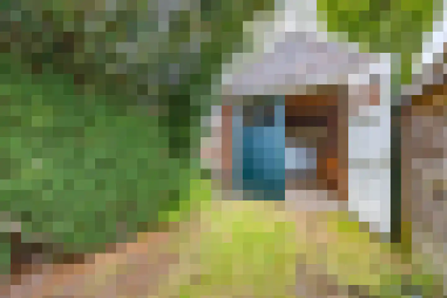 Van Kretschmar van Veenlaan 100 Hilversum thumbnail 39