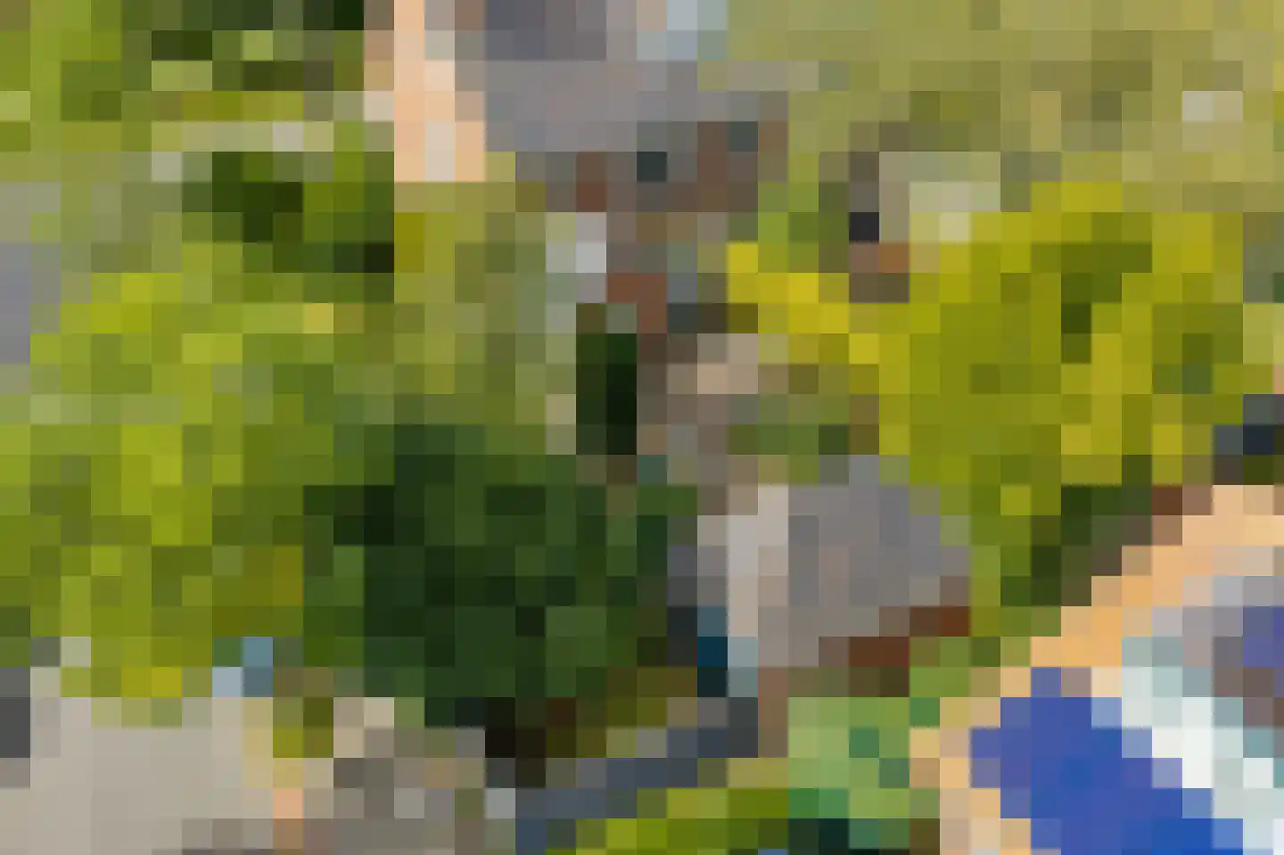 Van Kretschmar van Veenlaan 100 Hilversum thumbnail 4