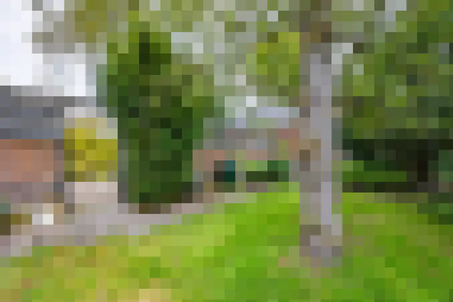 Van Kretschmar van Veenlaan 100 Hilversum thumbnail 41