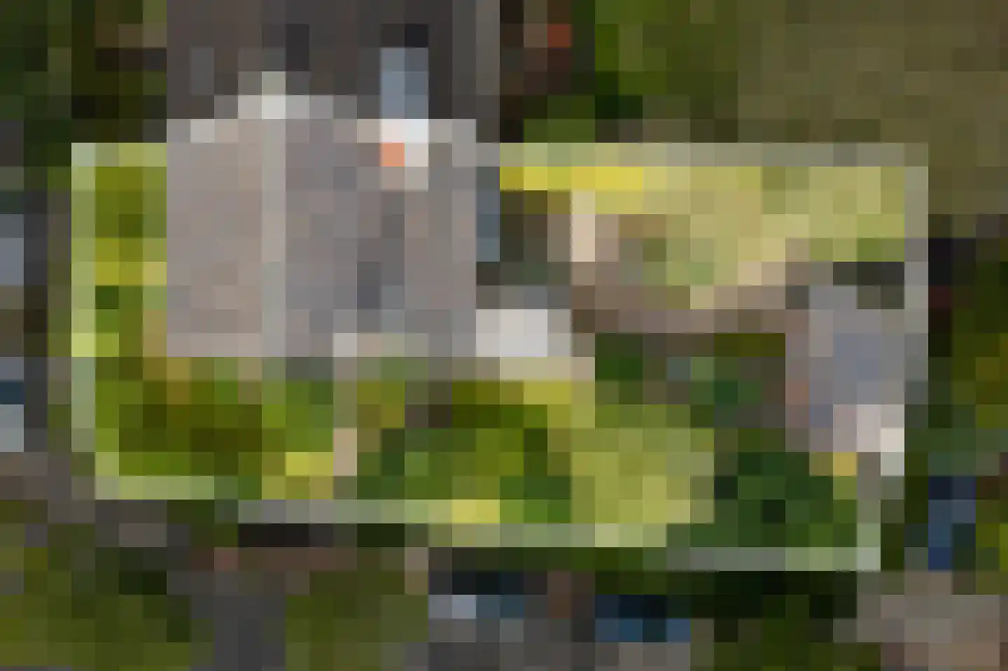 Van Kretschmar van Veenlaan 100 Hilversum thumbnail 5