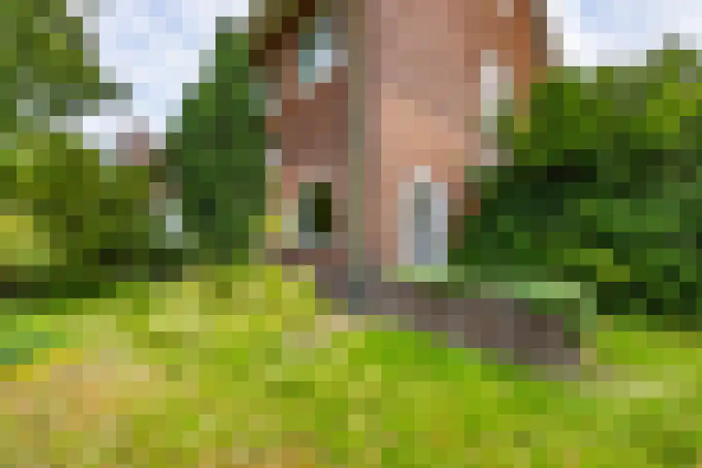 Van Kretschmar van Veenlaan 100 Hilversum thumbnail 7