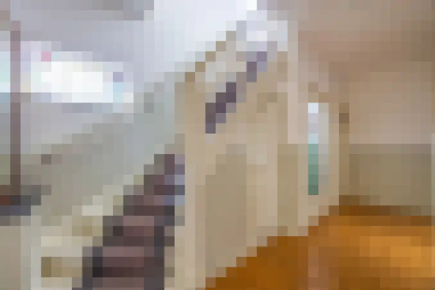 Van Kretschmar van Veenlaan 100 Hilversum thumbnail 9
