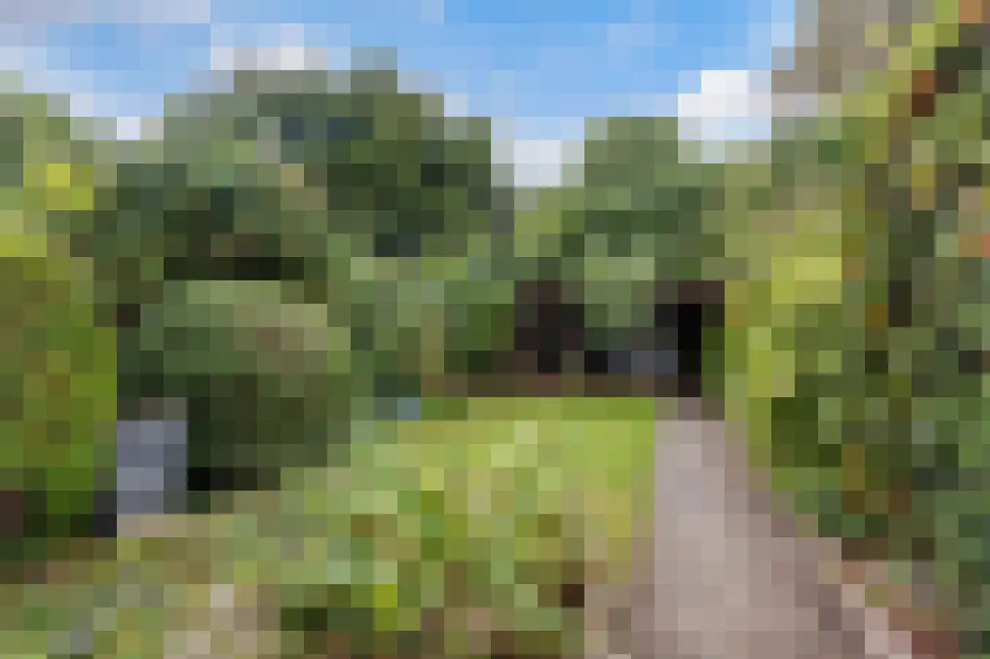 Van Kretschmar van Veenlaan 15 Hilversum thumbnail 11