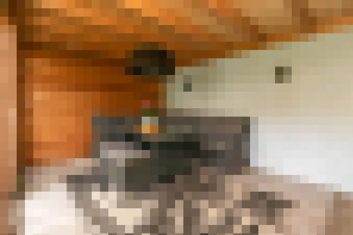 Van Kretschmar van Veenlaan 15 Hilversum thumbnail 14