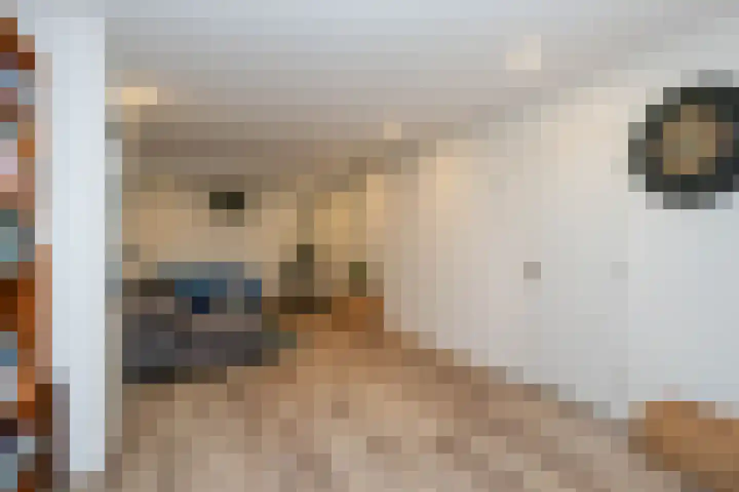 Van Kretschmar van Veenlaan 15 Hilversum thumbnail 18