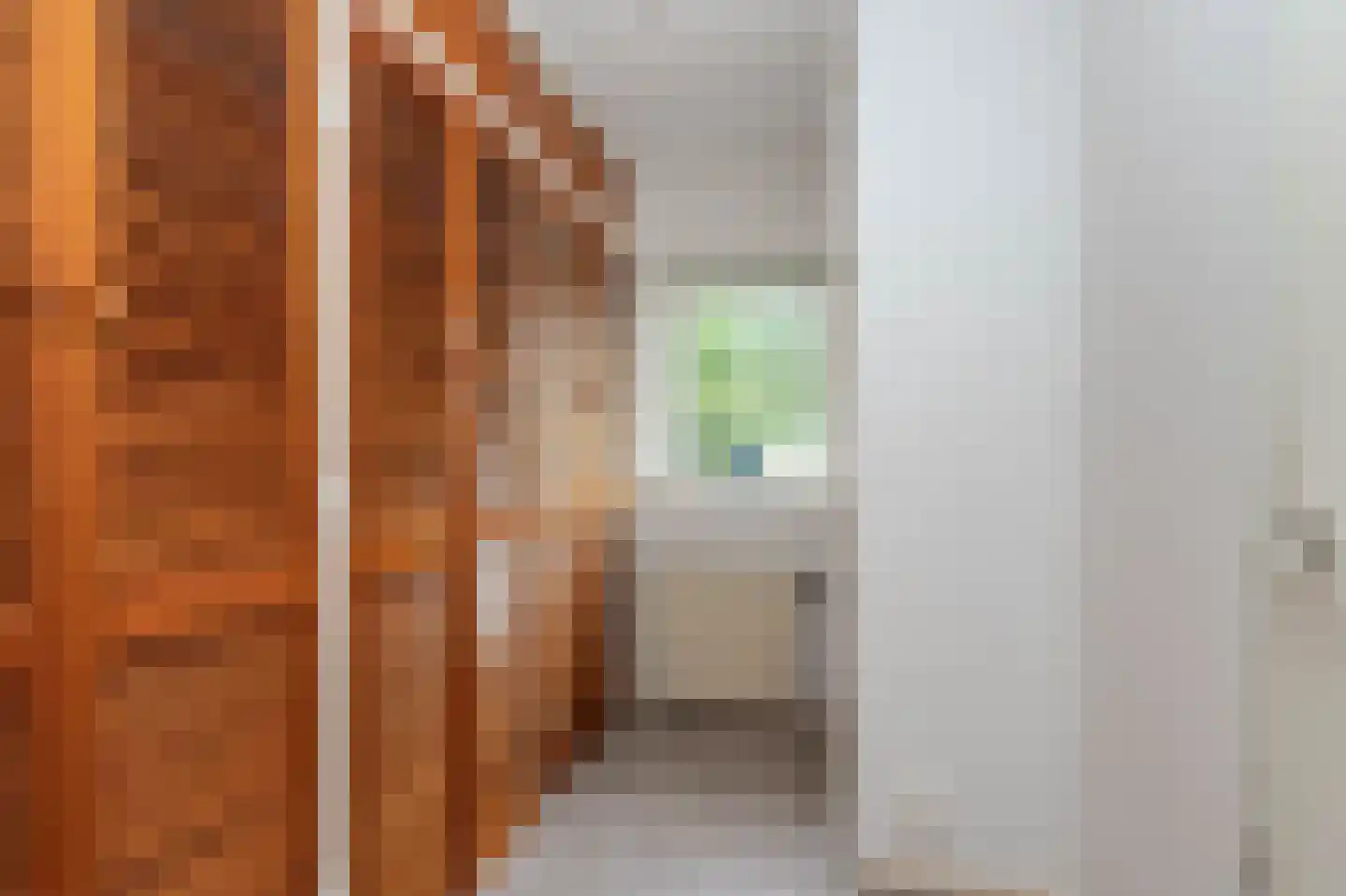 Van Kretschmar van Veenlaan 15 Hilversum thumbnail 22