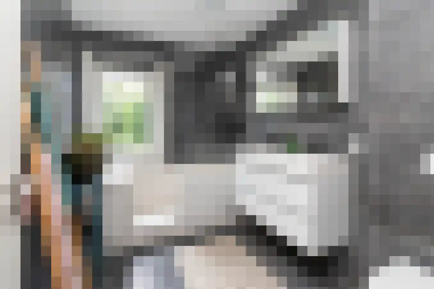 Van Kretschmar van Veenlaan 15 Hilversum thumbnail 23