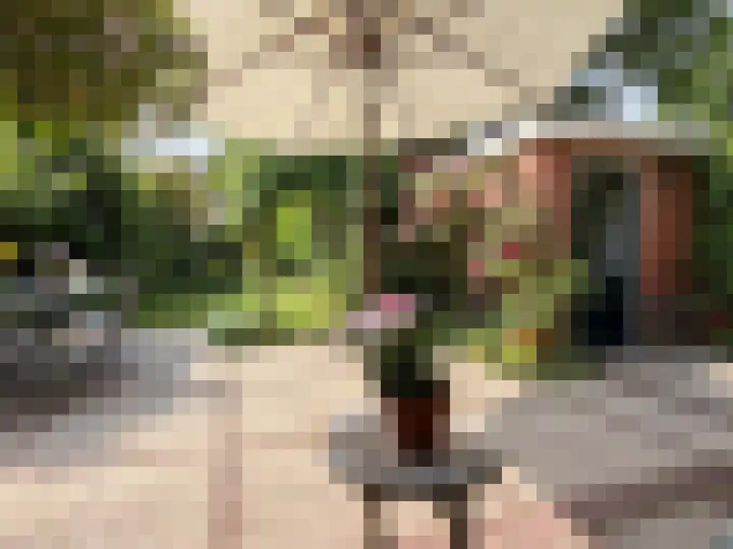 Van Kretschmar van Veenlaan 39 Hilversum thumbnail 16