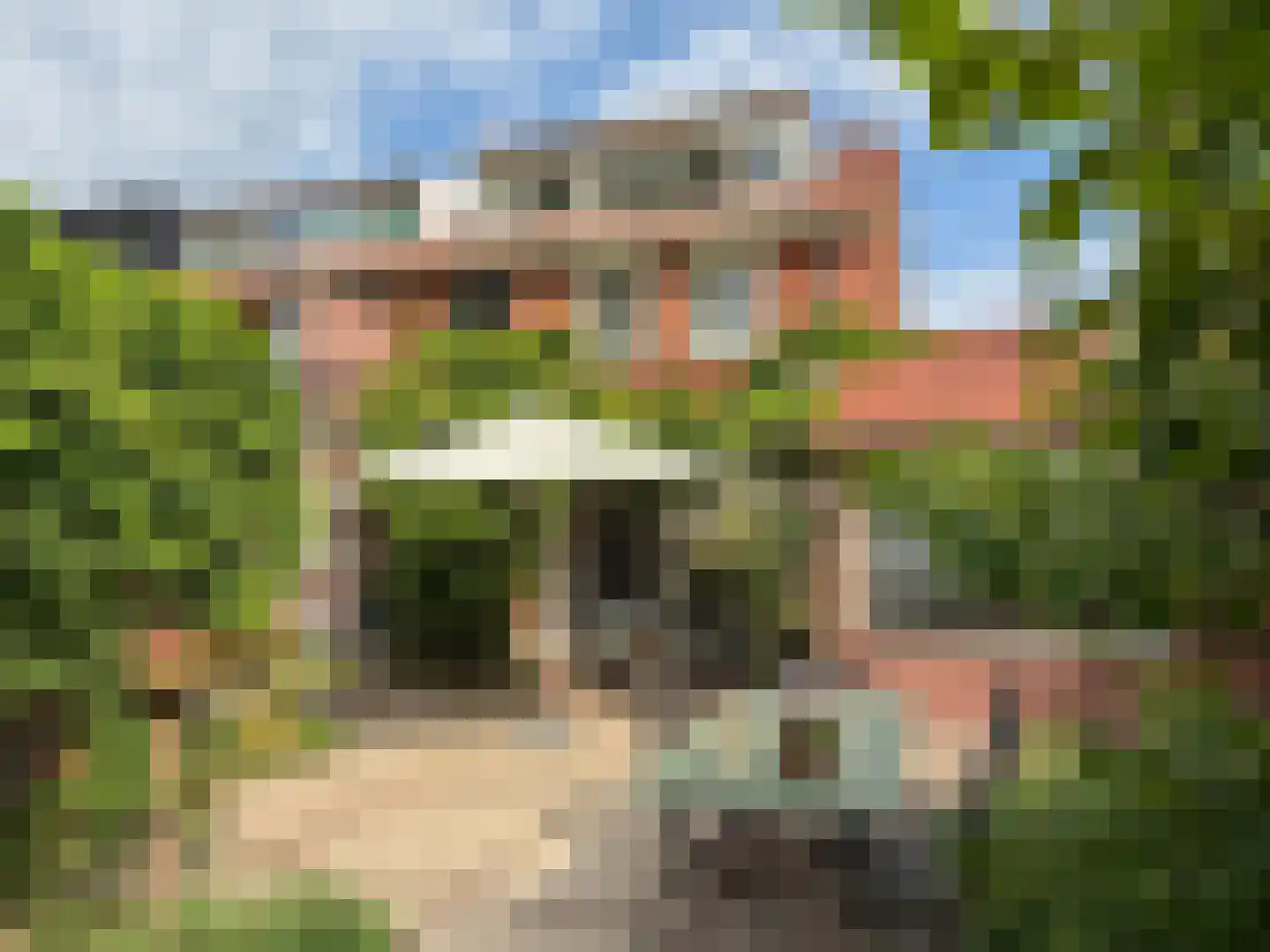 Van Kretschmar van Veenlaan 39 Hilversum thumbnail 17