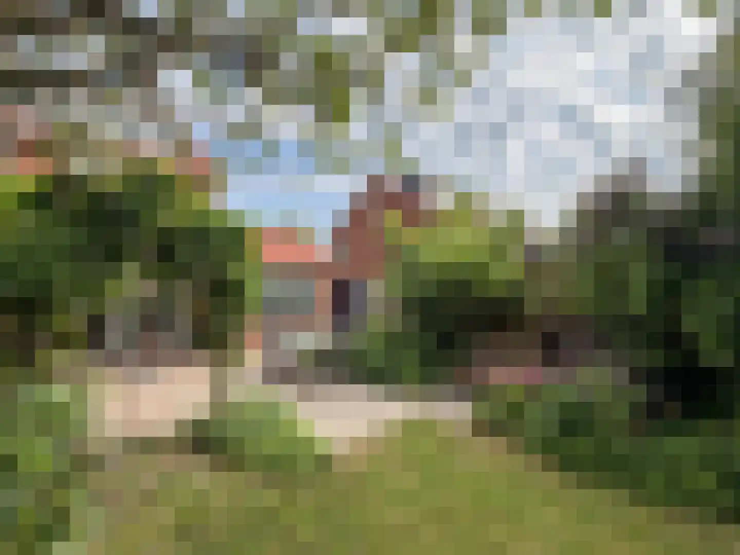 Van Kretschmar van Veenlaan 39 Hilversum thumbnail 18