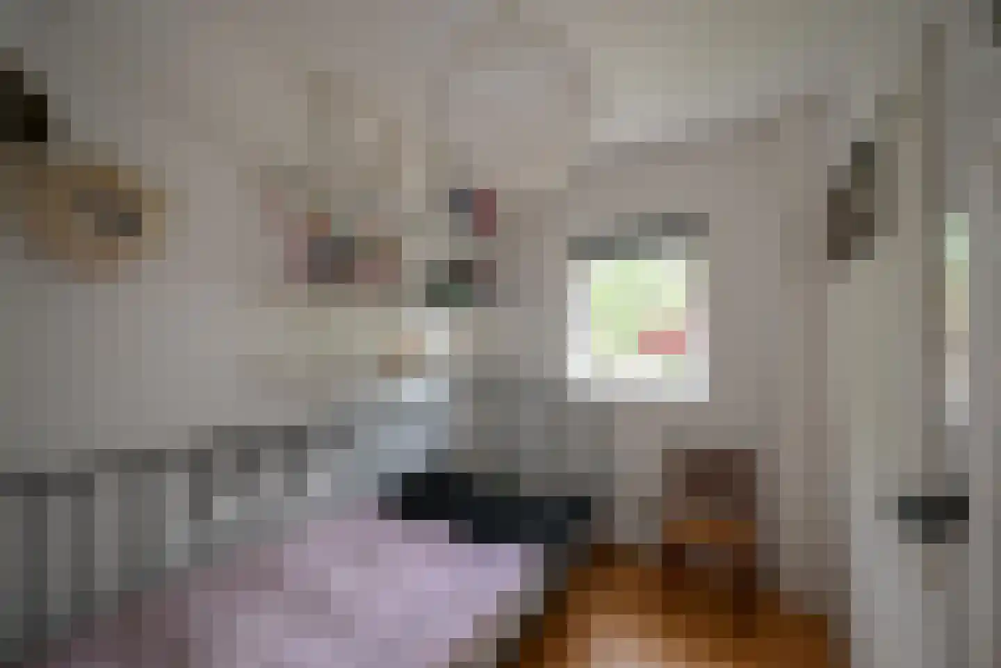 Van Kretschmar van Veenlaan 39 Hilversum thumbnail 31