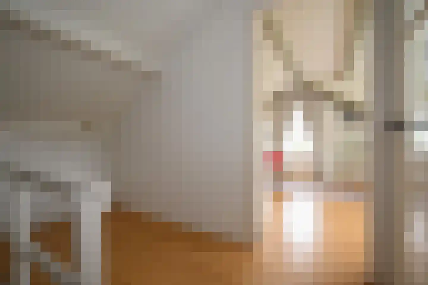 Van Kretschmar van Veenlaan 39 Hilversum thumbnail 33