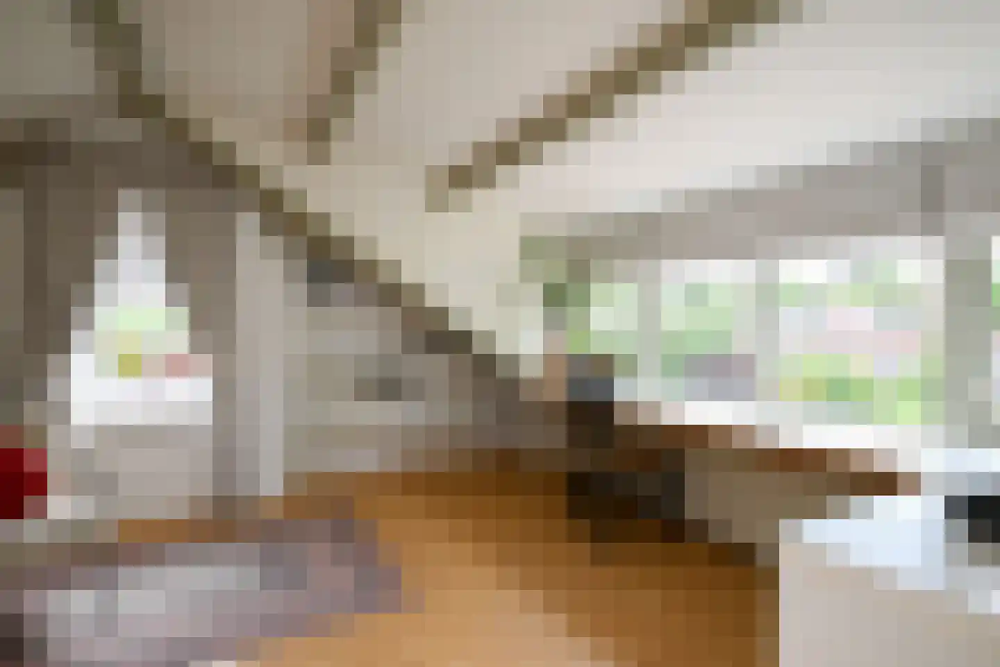 Van Kretschmar van Veenlaan 39 Hilversum thumbnail 34