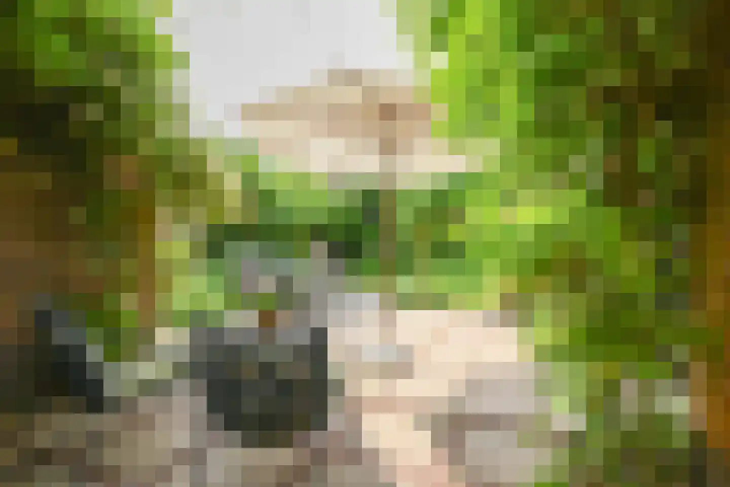 Van Kretschmar van Veenlaan 39 Hilversum thumbnail 38
