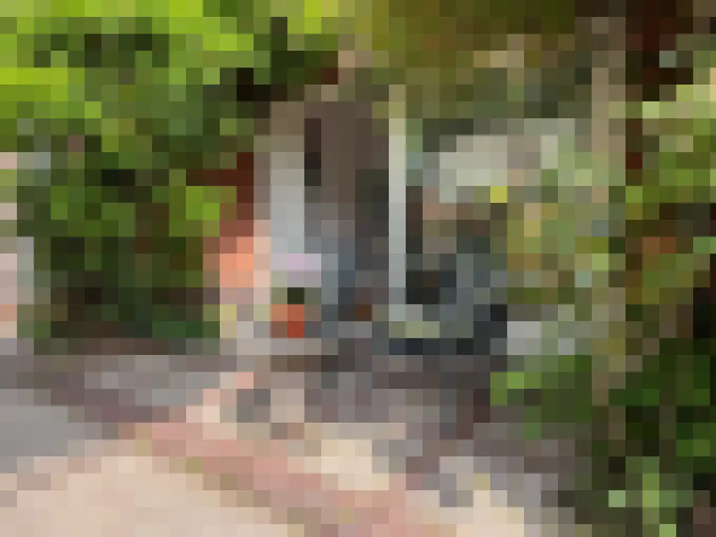 Van Kretschmar van Veenlaan 39 Hilversum thumbnail 39