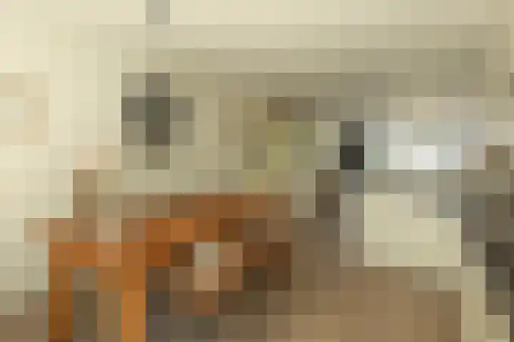 Van Kretschmar van Veenlaan 50 Hilversum thumbnail 13