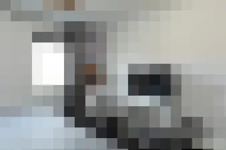 Van Kretschmar van Veenlaan 50 Hilversum thumbnail 20